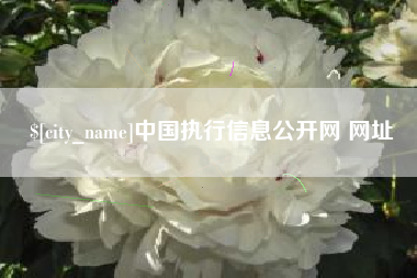 中国执行信息公开网 网址