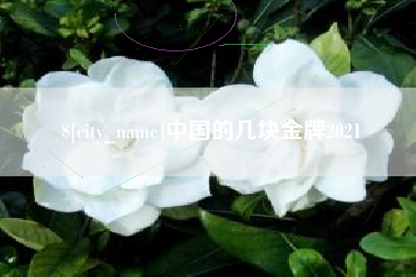 中国的几块金牌2021
