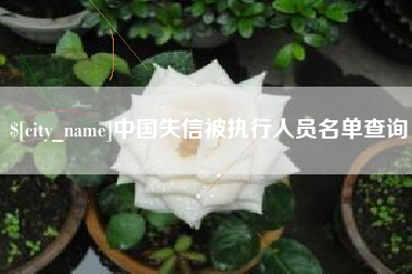 中国失信被执行人员名单查询