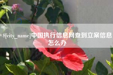 中国执行信息网查到立案信息怎么办
