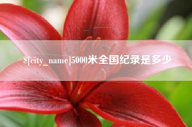 5000米全国纪录是多少