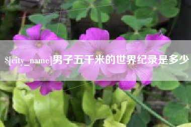 男子五千米的世界纪录是多少