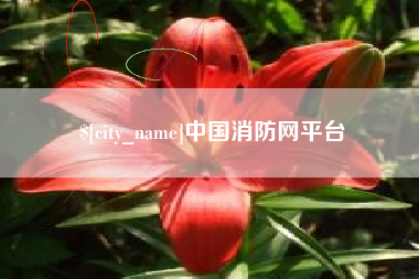 中国消防网平台