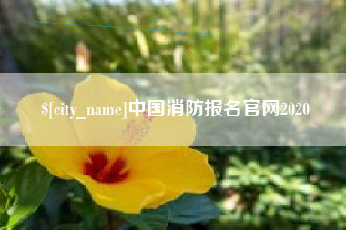中国消防报名官网2020
