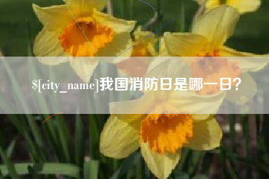 我国消防日是哪一日？