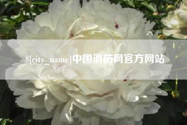 中国消防网官方网站