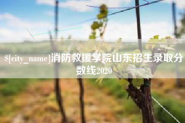 消防救援学院山东招生录取分数线2020