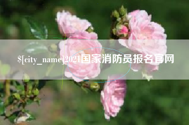 2021国家消防员报名官网