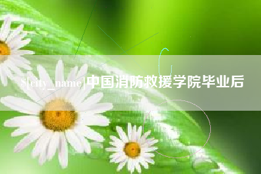 中国消防救援学院毕业后
