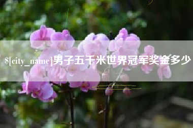 男子五千米世界冠军奖金多少