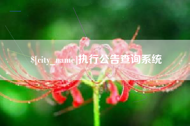 执行公告查询系统