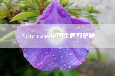 中国金牌都是啥