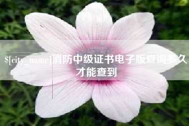 消防中级证书电子版查询多久才能查到