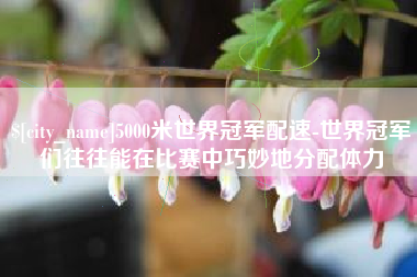 5000米世界冠军配速-世界冠军们往往能在比赛中巧妙地分配体力