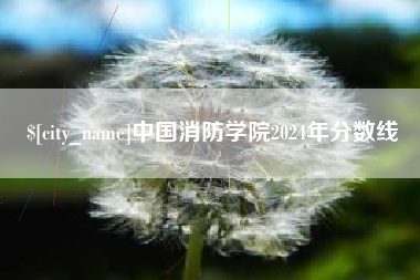 中国消防学院2024年分数线