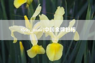 中国金牌包括