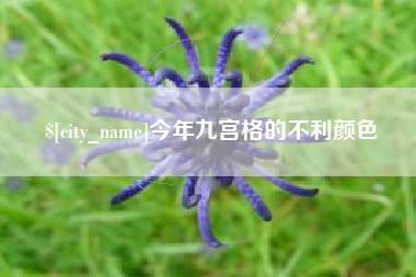 今年九宫格的不利颜色