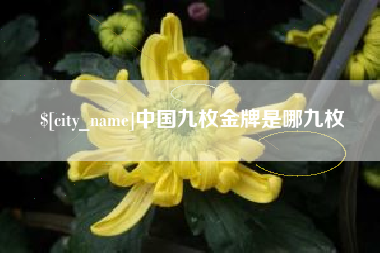 中国九枚金牌是哪九枚