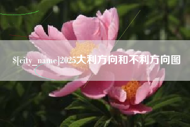 2025大利方向和不利方向图