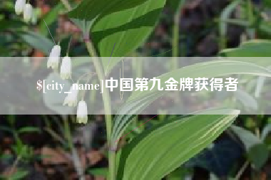 中国第九金牌获得者