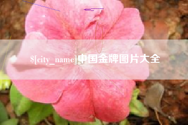 中国金牌图片大全