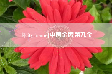 中国金牌第九金