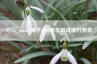 男子5000米年龄成绩对照表