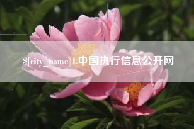 1.中国执行信息公开网