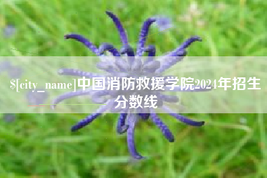 中国消防救援学院2024年招生分数线