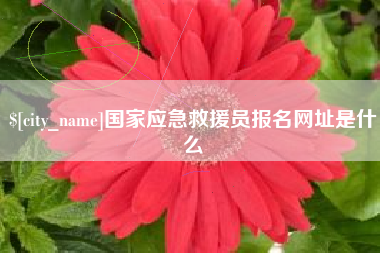 国家应急救援员报名网址是什么
