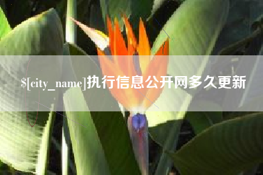 执行信息公开网多久更新
