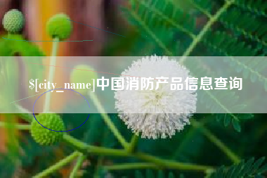 中国消防产品信息查询