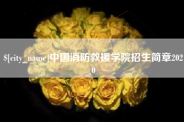 中国消防救援学院招生简章2020