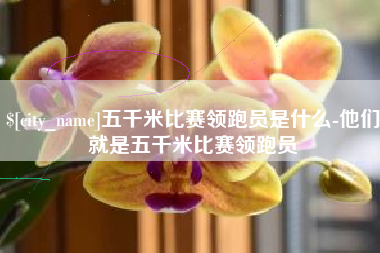 五千米比赛领跑员是什么-他们就是五千米比赛领跑员