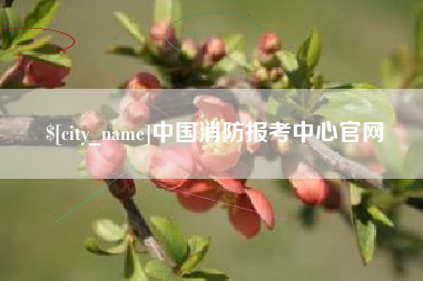 中国消防报考中心官网