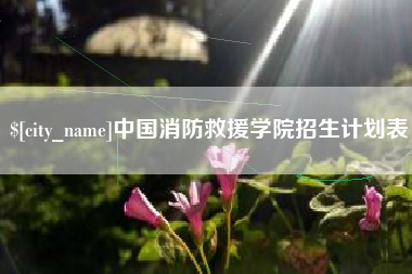 中国消防救援学院招生计划表