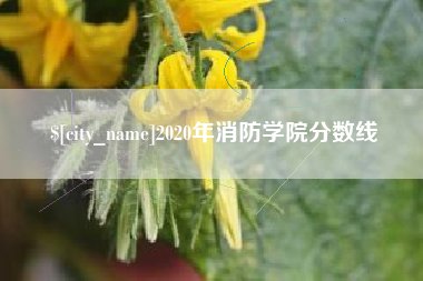 2020年消防学院分数线