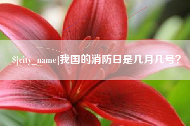 我国的消防日是几月几号？