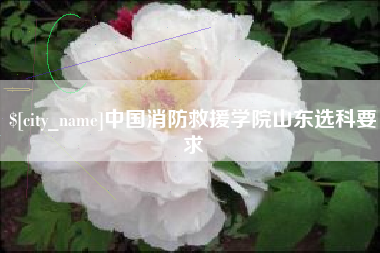中国消防救援学院山东选科要求