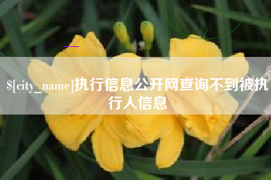 执行信息公开网查询不到被执行人信息