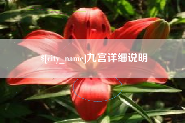 九宫详细说明