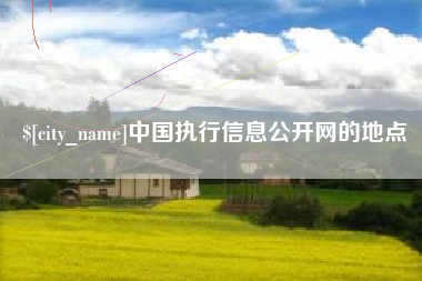 中国执行信息公开网的地点