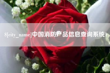 中国消防产品信息查询系统1