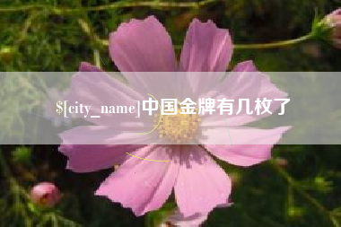 中国金牌有几枚了
