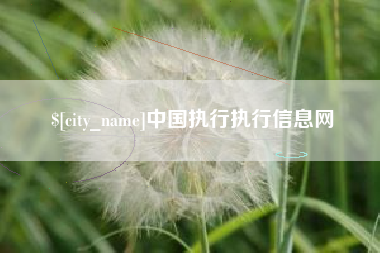 中国执行执行信息网