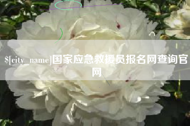 国家应急救援员报名网查询官网