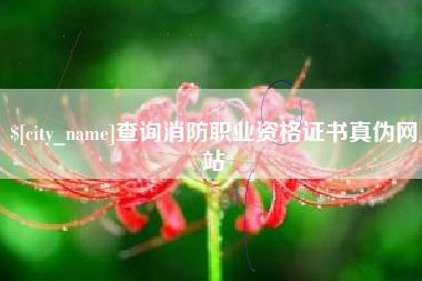 查询消防职业资格证书真伪网站