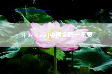 中国金牌一览表