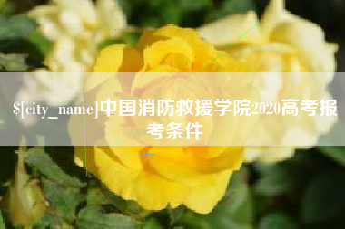 中国消防救援学院2020高考报考条件