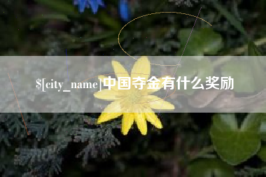 中国夺金有什么奖励